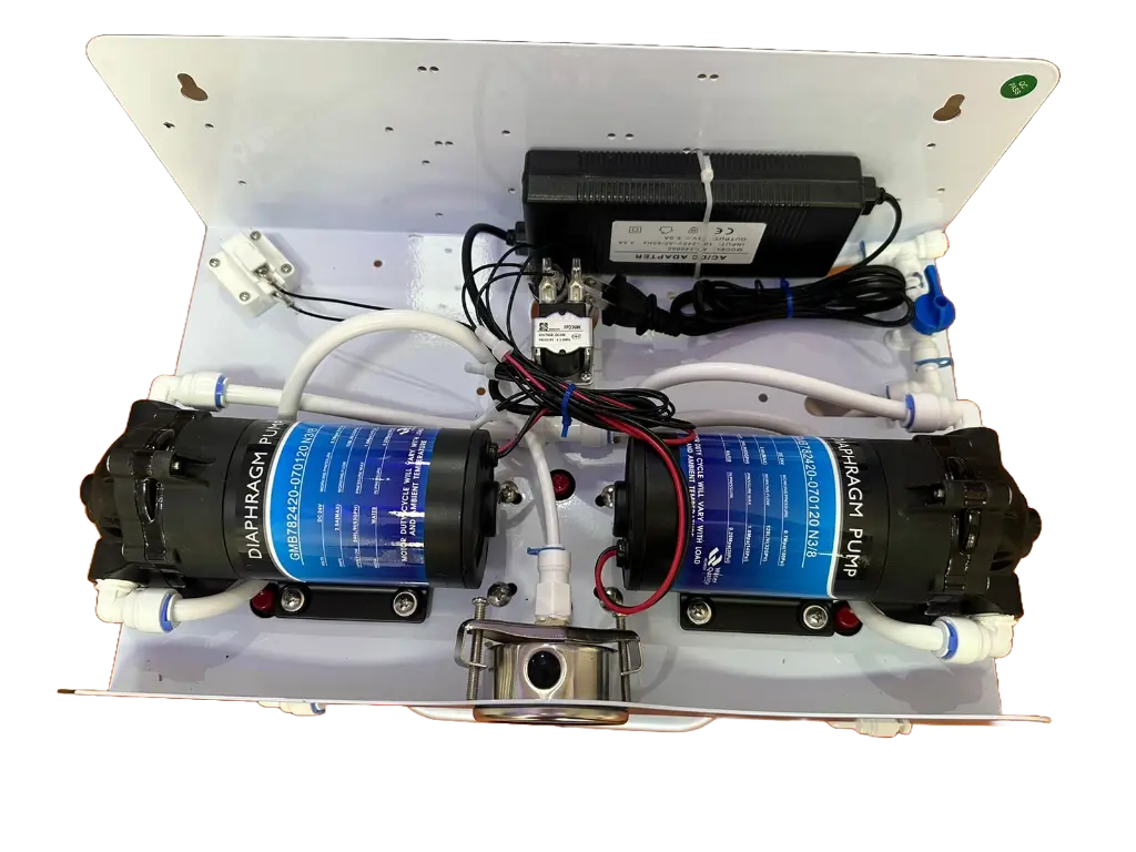 Adobe Express - file (1).webp